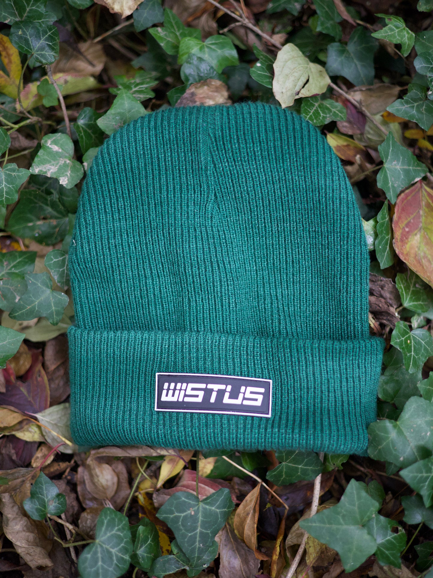 Box Beanie